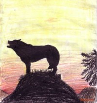 silouette drawing of howling wolf